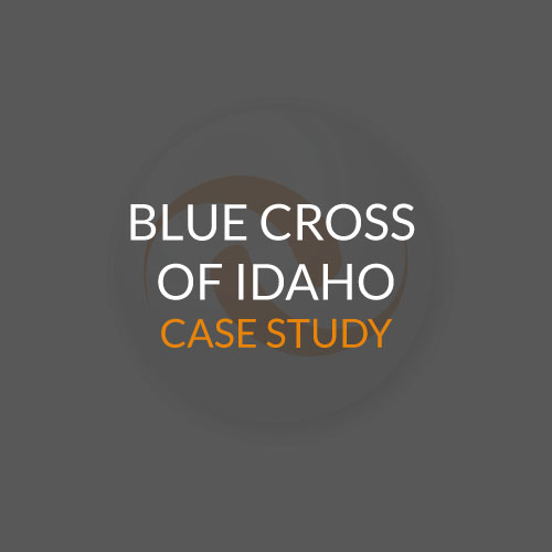 Blue-Cross-of-Idaho-Case-Study-Website-Image