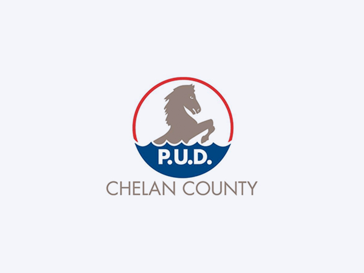 Chelan Case Study Image