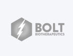 ind-logos-Bolt