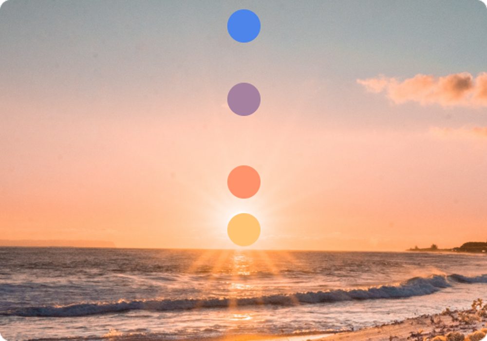 the-palette-contracts-365